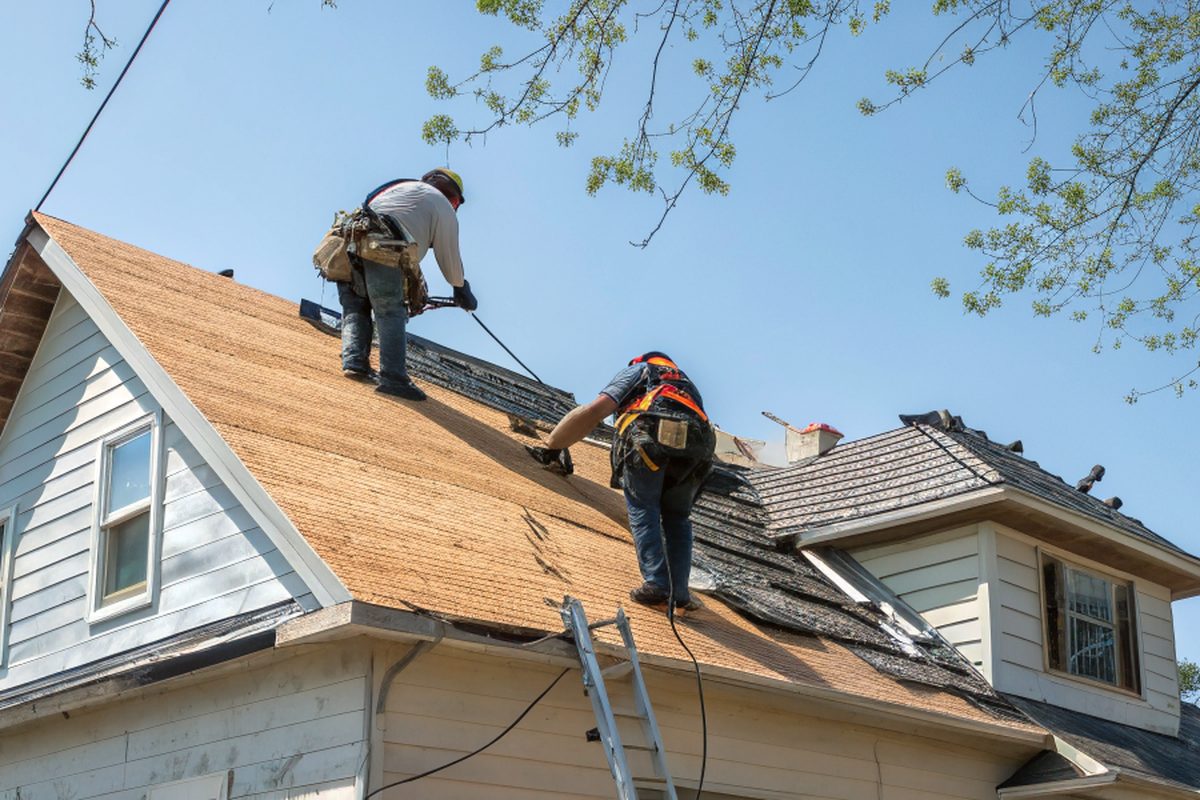 Roofers stripping old shingles down to the wood boards on the steep roof of a frame house